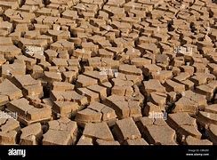 Image result for clayey
