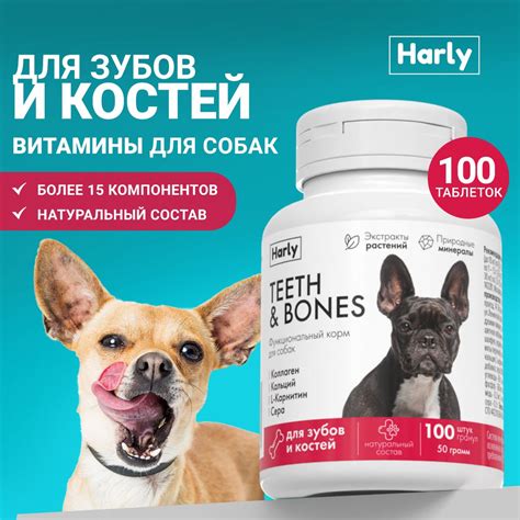 Витамины для собак и щенков для костей и зубов, 100 таблеток - купить с ...