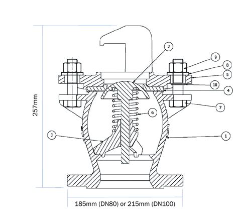 How to Draw a Spring 的图像结果