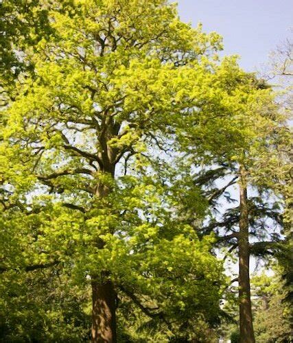 OAKMERE PARK - All You Need to Know BEFORE You Go 2026 (with Photos ...