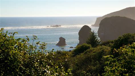 Hotels in Brookings, Oregon | Last Minute Hotel Deals Brookings | Hotwire