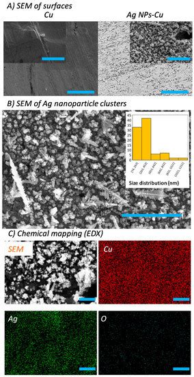 Facile Route of Fabricating Long-Term Microbicidal Silver Nanoparticle ...