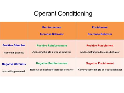 Image result for Operant Conditioning Examples in Classroom