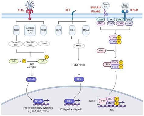 Advancing Viral Defense: Unravelling the Potential of Host-Directed ...