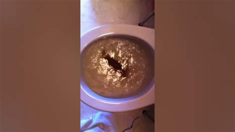 Image result for Modeling Paste Craft Ideas