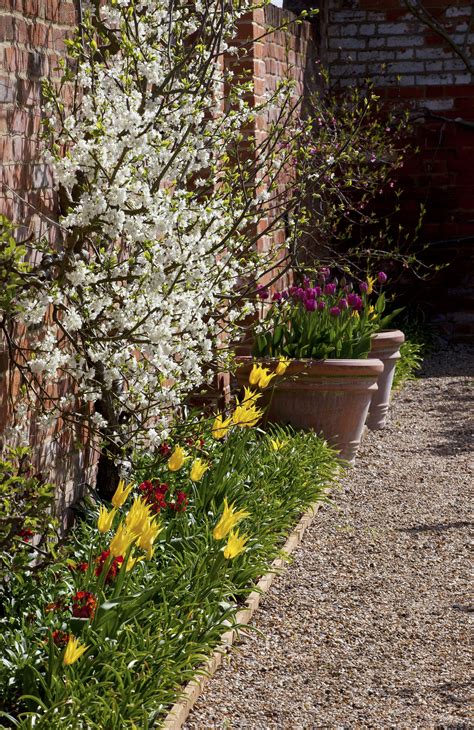 Image result for Landscaping Timber around Tree