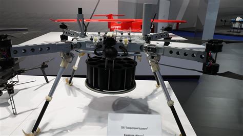 Russia to Supply 'Kanatokhod' Robots to India to Help Save Rare Birds