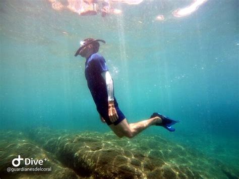 Escuela de Buceo Guardianes del Coral (Santa Marta) - All You Need to ...