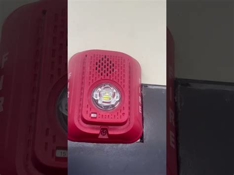 Fire Alarm Hooter - Honeywell Morely Fire Alarm Hooter WL-WSO-PR-N ...