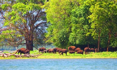 Reze Tourism (2021): Best of Reze, France - Tripadvisor