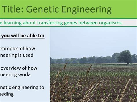 Basic Genetic Engineering GCSE Science OCR 的图像结果