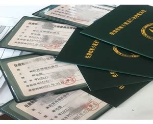 40万张证件已寄出！第三届进博会证件首度实现自助查询、测温验证一体化 - 周到上海