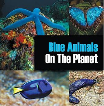 Blue Animals On The Planet: Animal Encyclopedia for Kids (Colorful ...