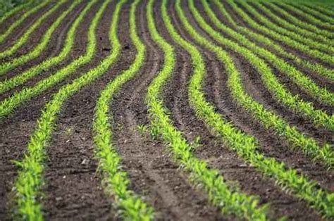 Inversiones en Industria Agroalimentaria – Aseagro