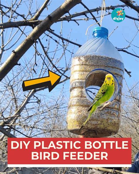 DIY Plastic Bottle Bird Feeder - DIY Joy