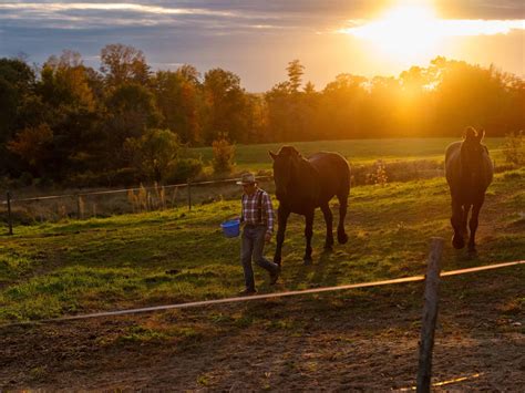 Home - Sanborn Mills Farm