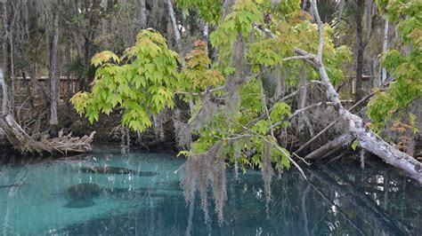 Hunter Springs Park – Florida Hikes