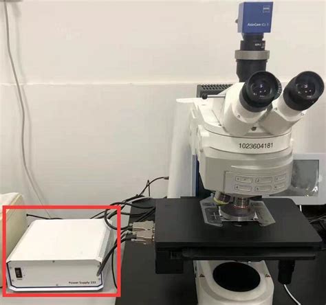 Vector Model Xfp36 Microscope Video 的图像结果