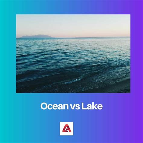 What Is The Difference Between A Lake A Sea And An Ocean at Jonathan ...