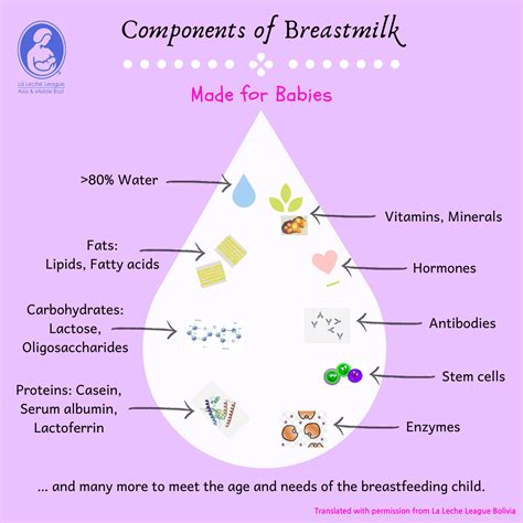 Components Of Breast Milk