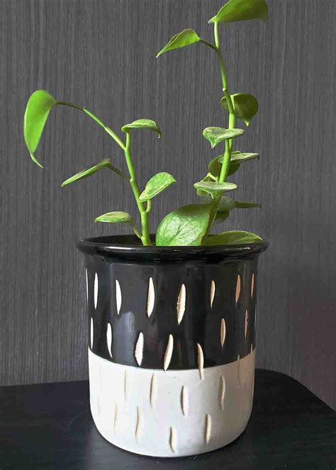 Get Handmade Onyx Black & White Ceramic Planter Pot at ₹ 899 | LBB Shop