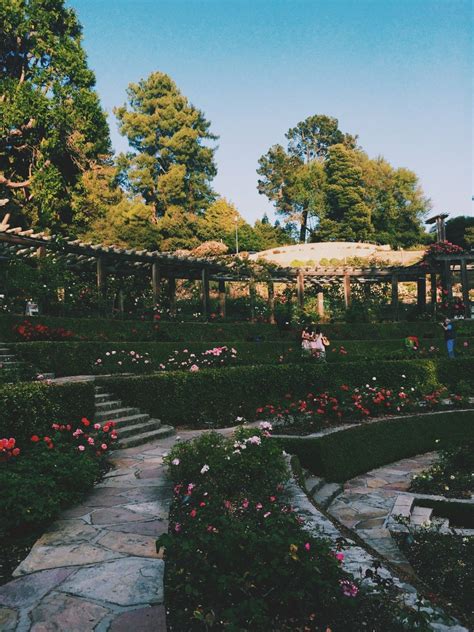 17 Berkeley Rose Garden Ideas Worth a Look | SharonSable