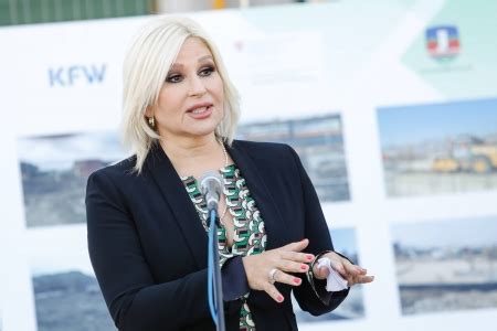 Lawyer: Disclosing Information about Land Sales to Rio Tinto is Illegal ...