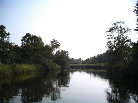 LITCHFIELD PLANTATION (Pawleys Island) - Inn Reviews & Photos - Tripadvisor