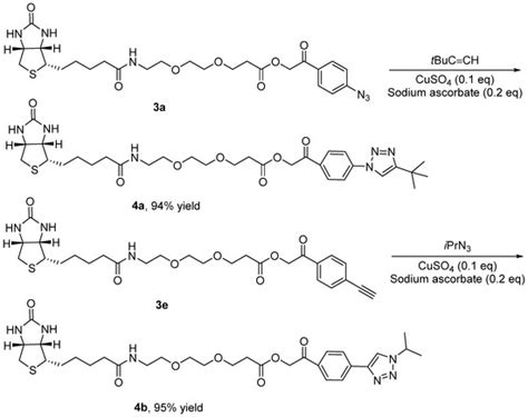 Copper-Catalyzed Azide–Alkyne Cycloaddition-Oriented Multifunctional ...