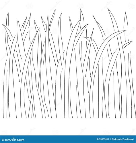 Grass Drawing Outline