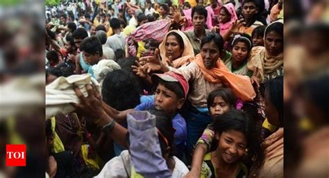 Sushma Swaraj: India for safe, sustainable return of Rohingyas | India ...