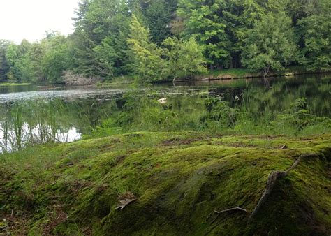 Brunet Island State Park Camping | The Dyrt