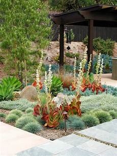 Low Water Garden by Best Low Water Garden Design Ideas Remodel Pictures Houzz Low Water Garden