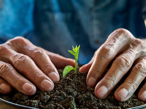 From seed to tree: finance function and investor delight