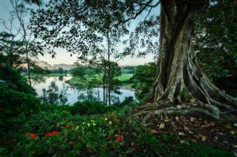 Bellingen Tourism (2024): All You Need to Know Before You Go