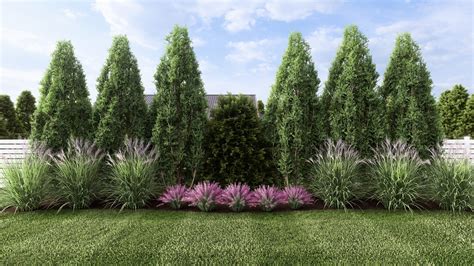 Shop | Plant by Number