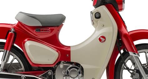 2021 Honda Super Cub C125 Guide | Total Motorcycle