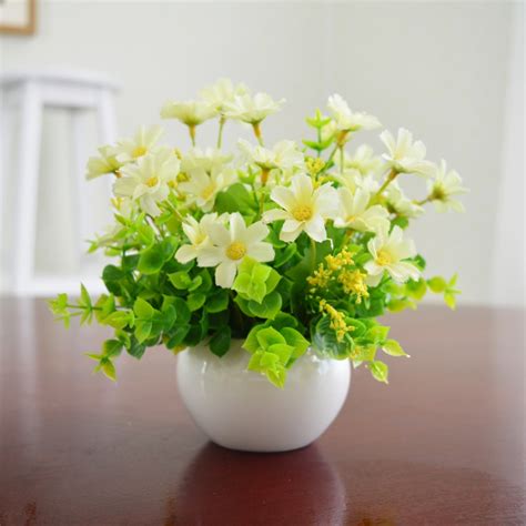 哪些花可以种在室内,适合室内养的花有哪些,适合屋里种的花_大山谷图库