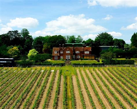 THE BEST Places to Visit in Hambledon (2025) - Must-See Attractions