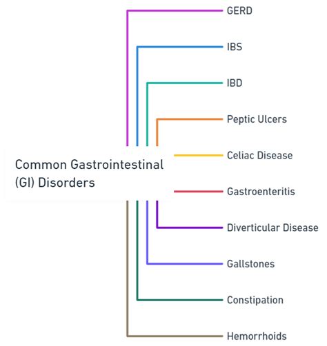 Disorders of GIT | B Pharma | Semester 2 | Unit 2 | HAP | FirstHope