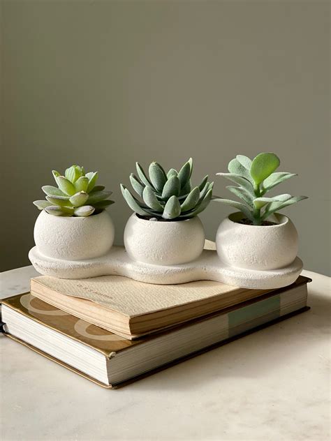 Artificial Succulents – Mason Home by Amarsons - Lifestyle & Decor