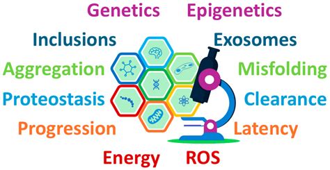 Parkinson’s Spectrum Mechanisms in Pregnancy: Exploring Hypothetical ...