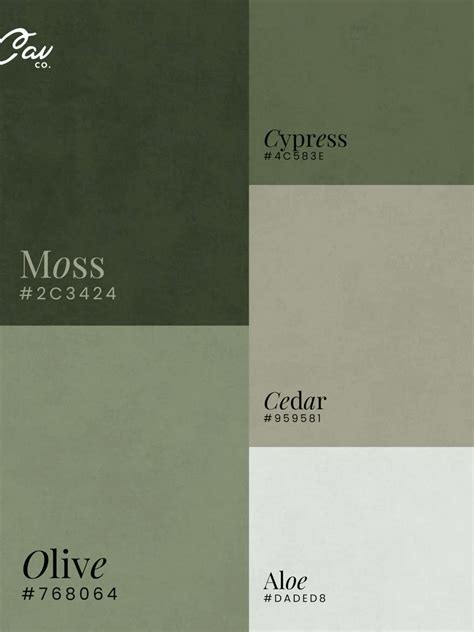 Earth Tone Warm Green Color Palette | Organic Natural Brand Design ...