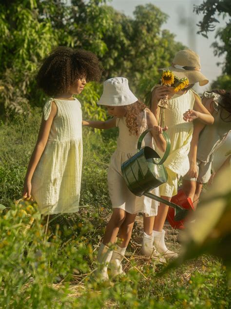 Zest Dress – Nest