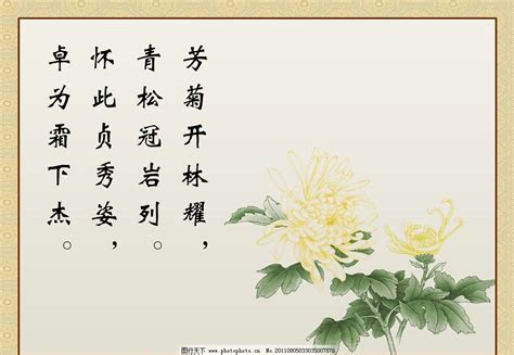 描写秋菊的诗句有哪些（关于秋菊的诗句古诗词） - 重庆小潘seo博客