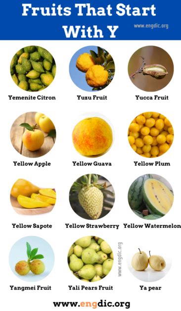 18 Fruits That Start With Y (Pictures and Properties) - EngDic