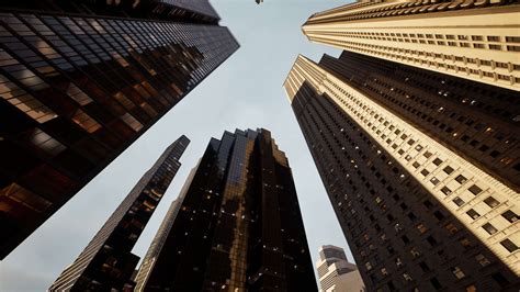 Building Full Documentary 的图像结果