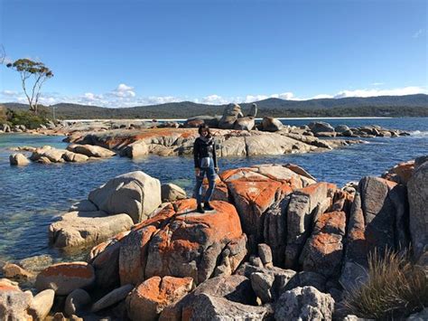 Gray Line Tasmania Day Tours (Hobart) | What to Know Before You Go ...