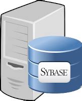Image result for Sybase Database Operating System