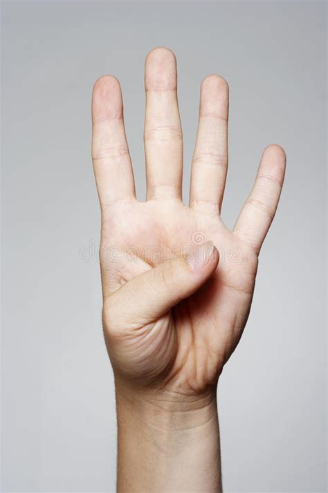 显示四个手指的手 库存照片. 图片 包括有 表达式, 空白, 女性, 背包, 打手势, 概念, 妇女, 显示 - 31217790